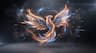 PhoenixDms